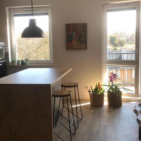 Apartament Goscinne Sady Malbork Exteriér fotografie