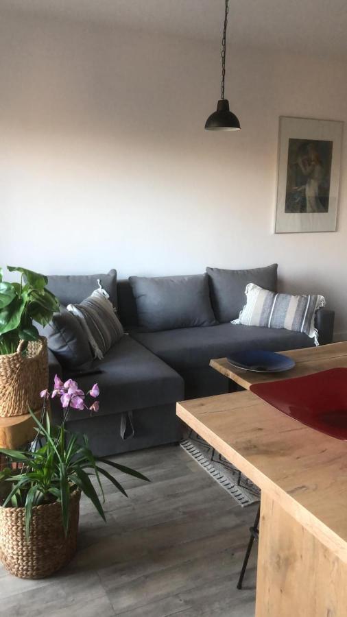 Apartament Goscinne Sady Malbork Exteriér fotografie
